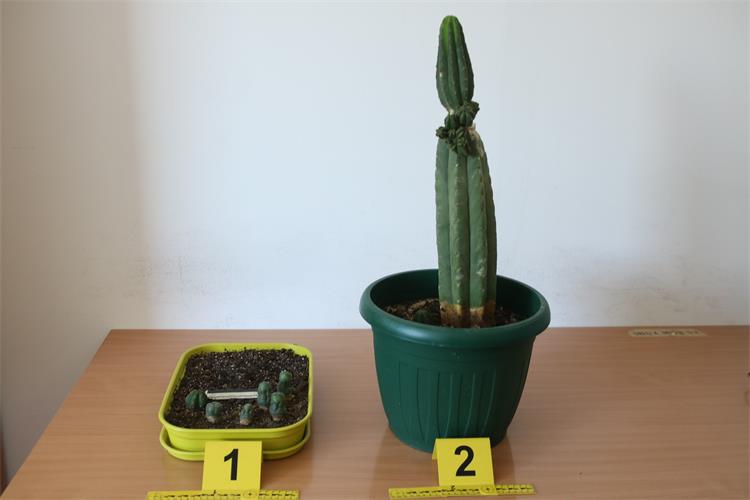 Slika /PU%20splitsko-dalmatinska%202022/Droga/IMG_8038.JPG