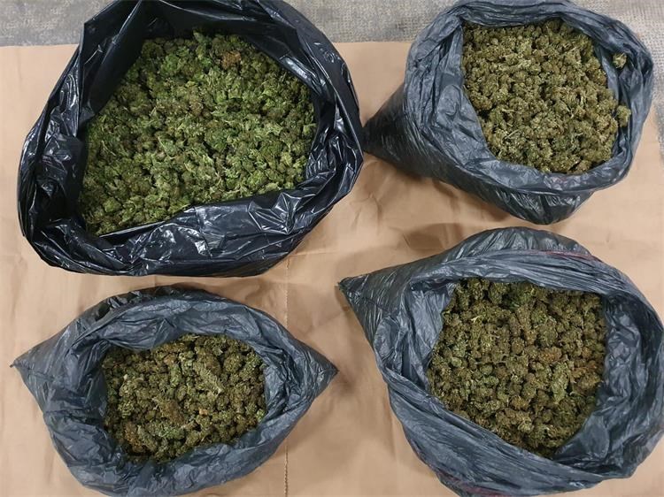 Policijska uprava splitsko-dalmatinska - Pronađen i oduzet 21 kilogram  marihuane