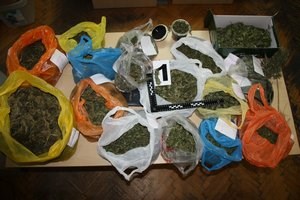 Slika /PU_SD/sinjmarihuanaweb.jpg