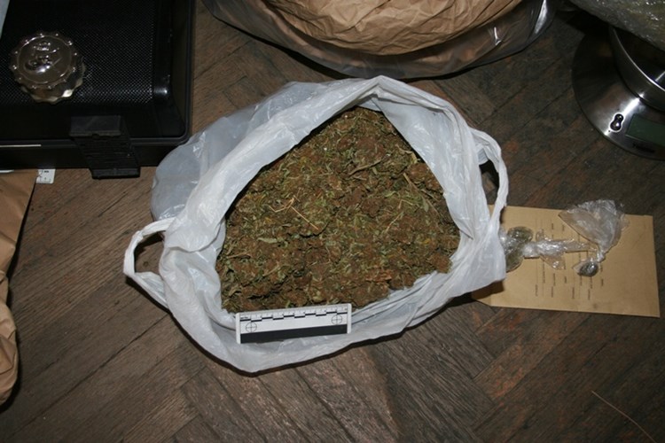 Slika PU_SD/prona%C4%91ena%20marihuana%205%20galerija.jpg