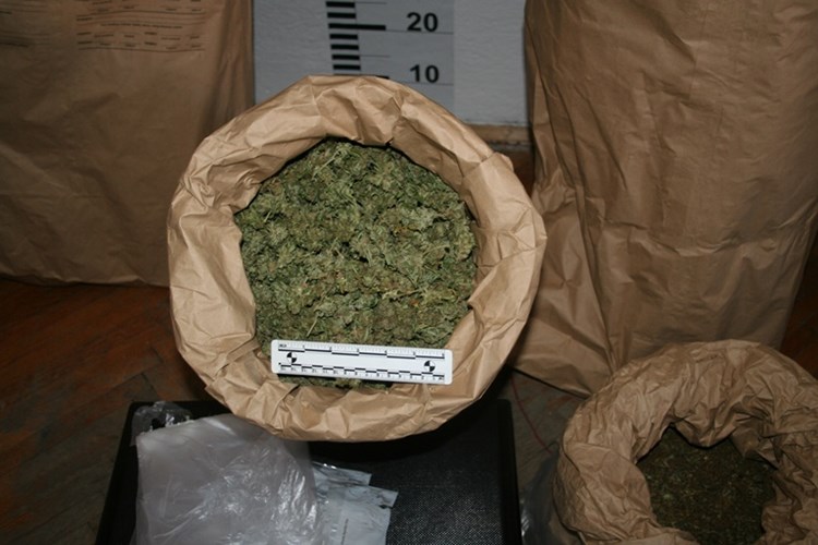 Slika PU_SD/usitnjena%20marihuana%20galerija%2008082016.jpg